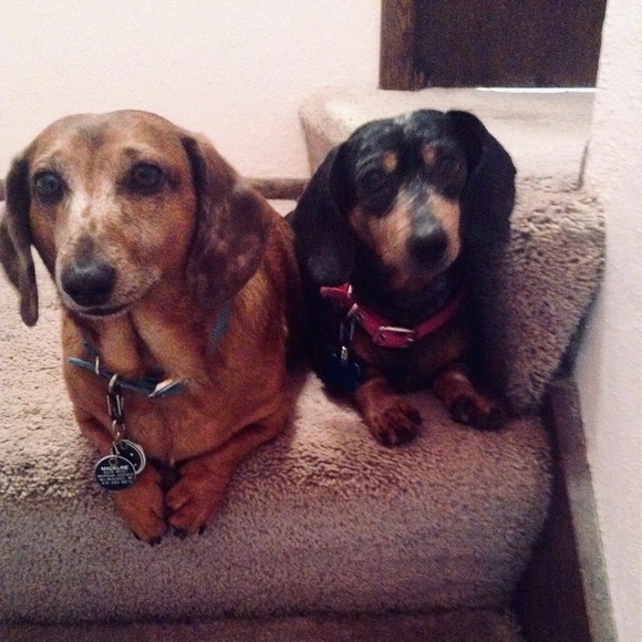 Meet your Posher, Vicki - Picture 2 of 2